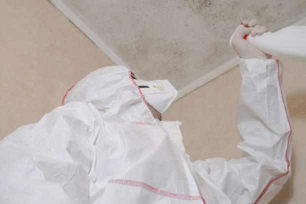 Best Residential Mold Removal  in Hunters Creek Village, TX